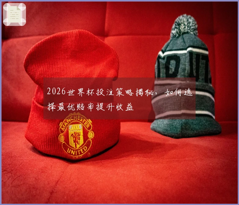 2026世界杯投注策略揭秘，如何选择最优赔率提升收益