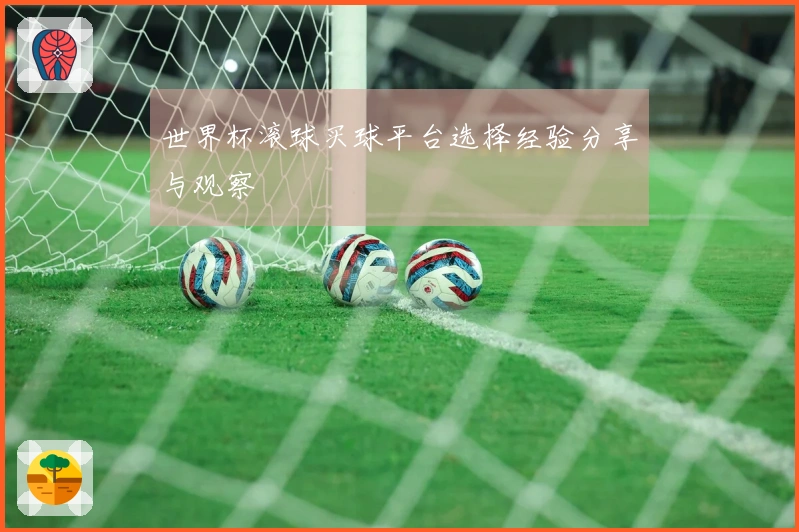 世界杯滚球买球平台选择经验分享与观察