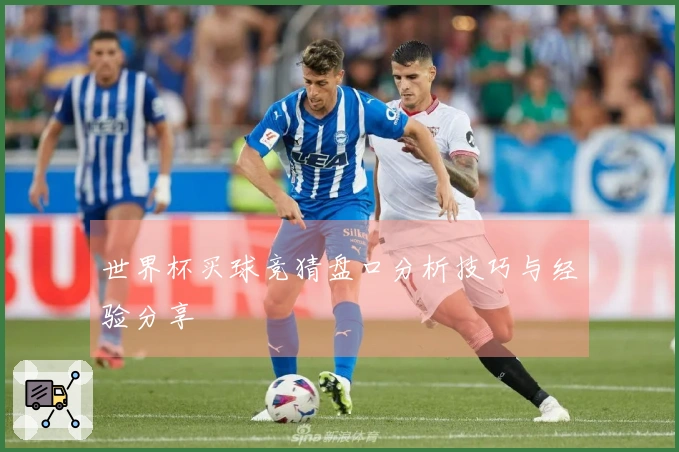 世界杯买球竞猜盘口分析技巧与经验分享