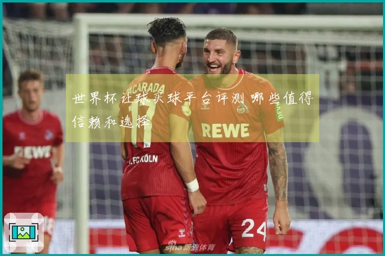 世界杯让球买球平台评测 哪些值得信赖和选择