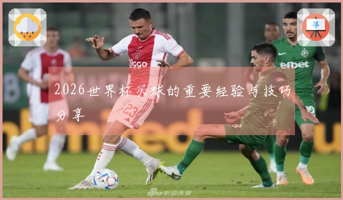 2026世界杯买球的重要经验与技巧分享