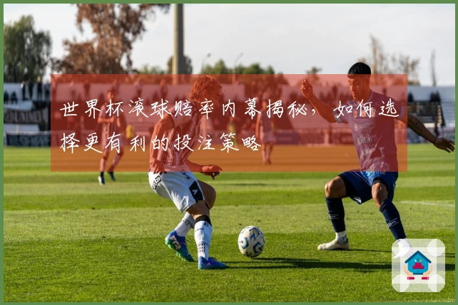 世界杯滚球赔率内幕揭秘，如何选择更有利的投注策略