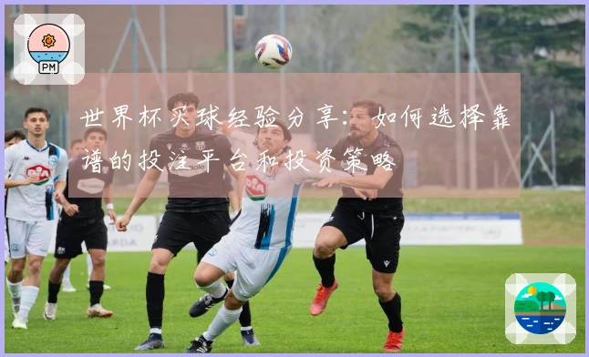 世界杯买球经验分享：如何选择靠谱的投注平台和投资策略