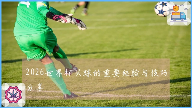 2026世界杯买球的重要经验与技巧分享