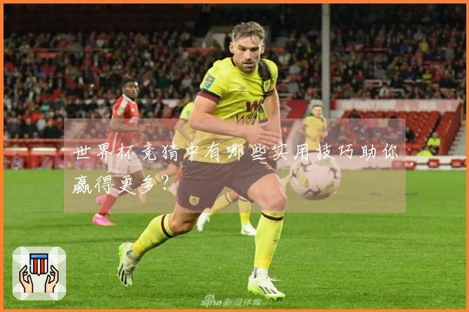 世界杯竞猜中有哪些实用技巧助你赢得更多？