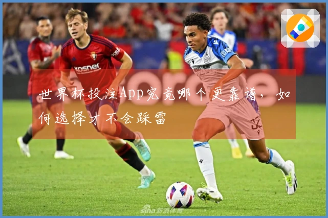 世界杯投注App究竟哪个更靠谱，如何选择才不会踩雷