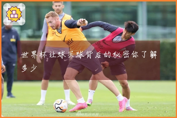 世界杯让球买球背后的秘密你了解多少