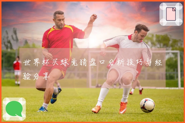 世界杯买球竞猜盘口分析技巧与经验分享
