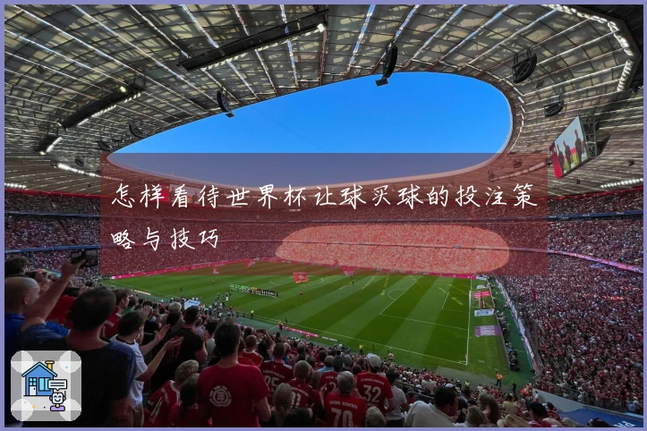 怎样看待世界杯让球买球的投注策略与技巧